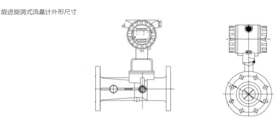 旋進(jìn)旋渦流量計(jì).png